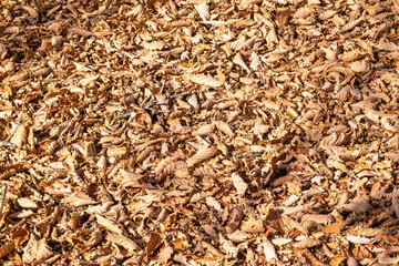 Fall leaf background piled up on the ground.