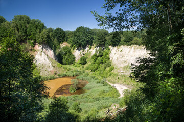 Einblick Liether Kalkgrube im Sommer