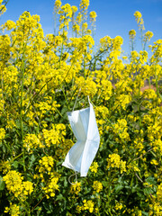 Face mask hanging on yellow flowers