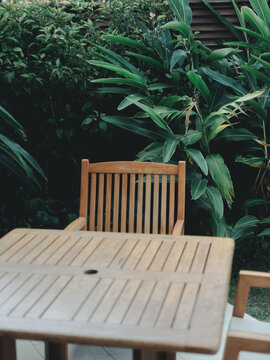 植物と椅子