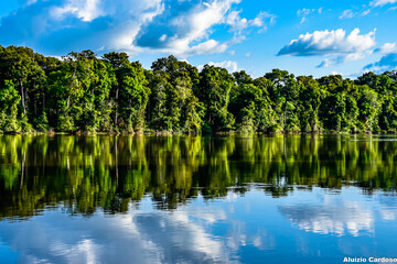 Espelho d'água do céu com a  floresta Amazônica com rio Jari.