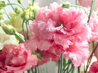 Beautiful Bouquet of eustoma flowers. Greeting wedding or summer card. Lisianthus flowers close-up with soft sunlight for flower poster, wallpaper or holiday card. Spring banner