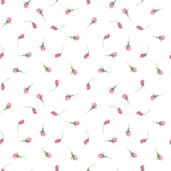Seamless pattern of small pink flower buds on white background. Watercolor hand drawing illustration. Apple or cherry tree flowers. Mille fleure.