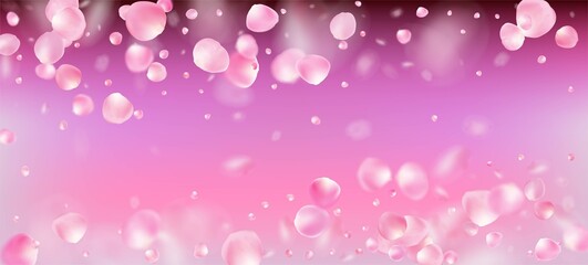 Rose Petals Falling Confetti. Flying Japanese Cherry Rose Sakura