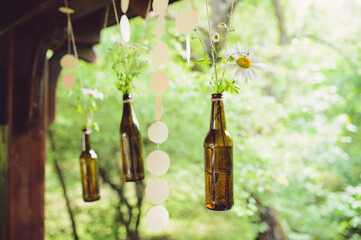 camomiles in hanging bottles