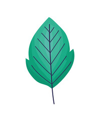 emerald leaf icon
