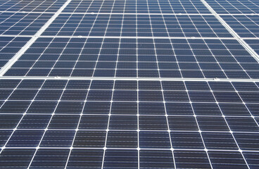 Solar panels grid up-close view