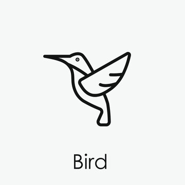 Bird vector icon.  Editable stroke. Linear style sign for use on web design and mobile apps, logo. Symbol illustration. Pixel vector graphics - Vector