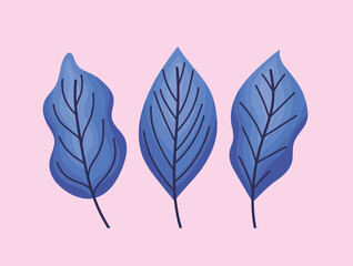 three blue leaves