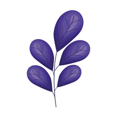 cute purple leaves