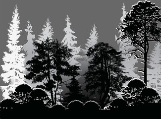 pine forest silhouettes isolated on grey background