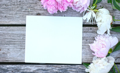 Top view background with pion flowers. Flowers composition. Mock up with plants. Flat lay with Flowers on white table. Woman day concept. Copyspace for text. 