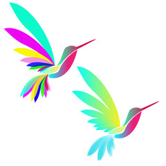 hummingbird vector ilustration