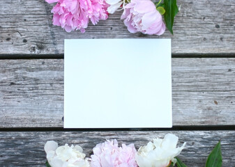 Top view background with pion flowers. Flowers composition. Mock up with plants. Flat lay with Flowers on white table. Woman day concept. Copyspace for text. 
