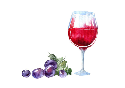Glass of a red wine and grapes.Picture of a alcoholic drink.Watercolor hand drawn illustration.	