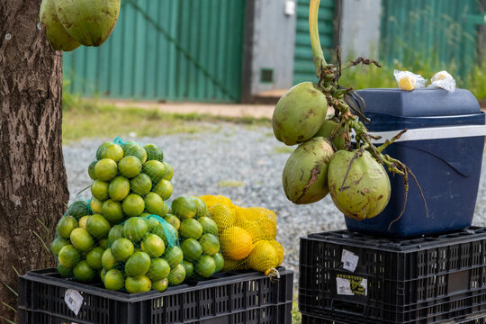 Estande de venda de frutas &agrave; beira da estrada