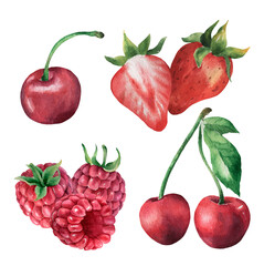 Watercolor berry set 