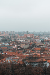Fototapeta na wymiar Panoramic view of the Vilnius old town during cloudy and gloomy winter day