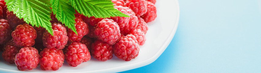 Fresh ripe raspberries in a plate banner