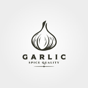 garlic onion object logo vector symbol illustration design, garlic spice and herb isolated design