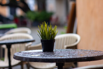 mesa húmeda afuera de un bar, falsa planta de plástico para la decoración, calles de la zona...