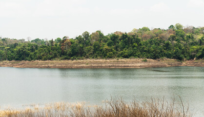 green forest with lake and sunlight on white background