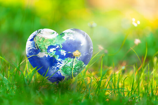 Earth in Heart shape on green grass and flowers on sunlight, Love and Save the World for the Next Generation concept, Earth day concept, Elements of this image furnished by NASA