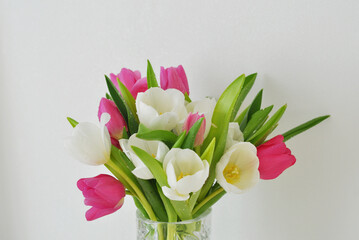 bouquet of tulips on a white background