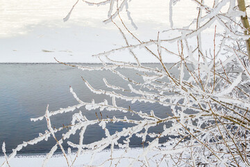 Branches of tree in white fluffy snow on the shore against the background of a blue river. Winter