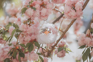 forest fairy on sakura tree