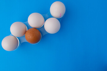 Five white and one brown chicken eggs in a plastic stand. Easter card concept