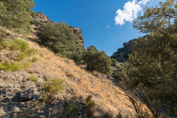 mountainous landscape of Sierra Nevada