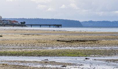 Pier At Low Tide 3