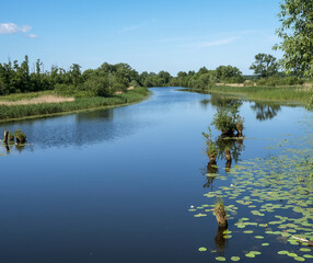 Forest pond in a wild place. Clean natural rivers and lakes.
