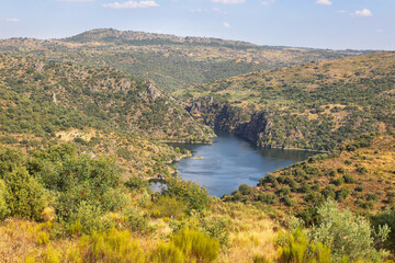 Fototapeta na wymiar Amazing View of the river in Douro International Nature Park, Portugal