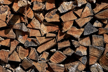 Fototapeta premium Dry firewood stacked in a pile
