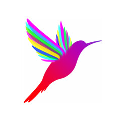 colorful hummingbird 2 - vector ilustration
