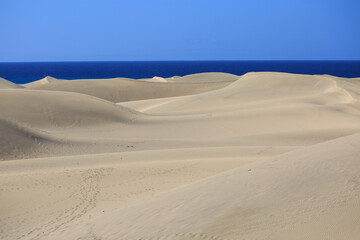 sand dunes on the beach