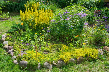 Decorative flower bed with garden flowers