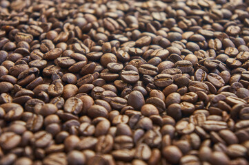 Coffee beans  in low light