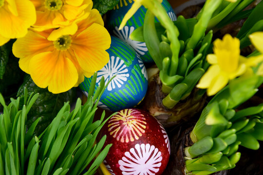 Beautiful hand painted easter eggs with spring flowers close-up stock images. Easter decoration with colored eggs and fresh flowers stock photo. Traditional easter eggs images