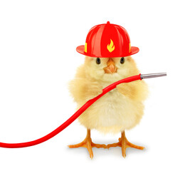 Cute cool chick fireman firefighter with helmet and fire hose funny conceptual image