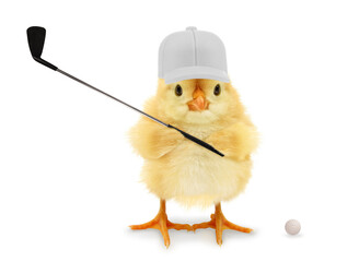 Cute cool chick golf player batter golfer with club, funny conceptual image