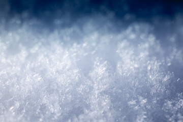 neige macro