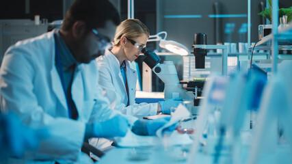 Diverse Team of Medical Research Scientists Conduct Experiments in a Modern Biological Applied...