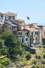 Fototapeta na wymiar view and pamorama of the characteristic village in Sicily province of messina between mountains and sea