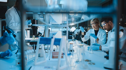 Female and Male Medical Research Scientists Have a Conversation While Conducting Experiments in Test Tubes with Liquid Samples with and in Beakers with Solid Speciments. Modern Science Laboratory.