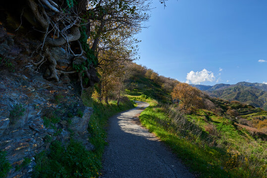 views of the Peloritani mountains in Sicily between paths and verdant woods on a beautiful sunny spring day