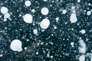 bubbles in blue transparent ice on the lake