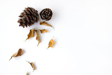 Autumn composition. Dried, autumn eaves and cones on a white background. Flat lay, top view, copy space
